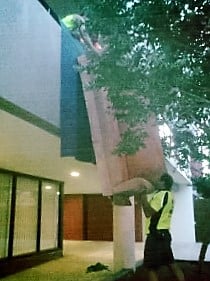 Balcony Lift Furniture Sometimes With Lifting Straps We Photo Of Sydney Domain Furniture Removals New South Wales Australia Balcony Lift