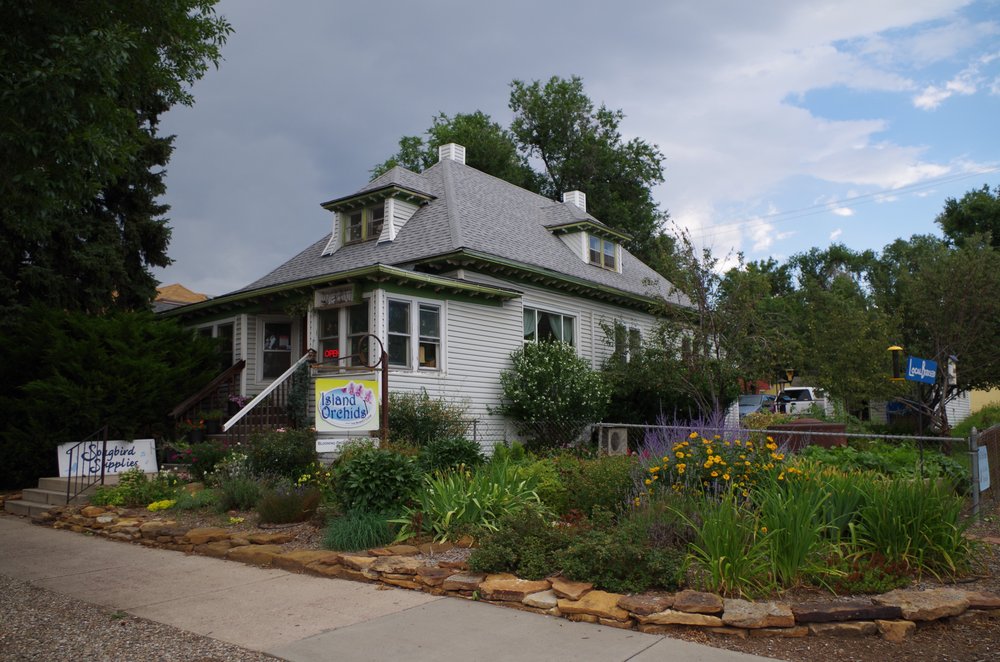Island Orchids 14 Photos Nurseries & Gardening 2204 W Colorado