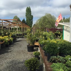 Nursery Vancouver Wa Thenurseries Yard N Garden Land 17 Photos Nurseries Gardening 1501 Ne