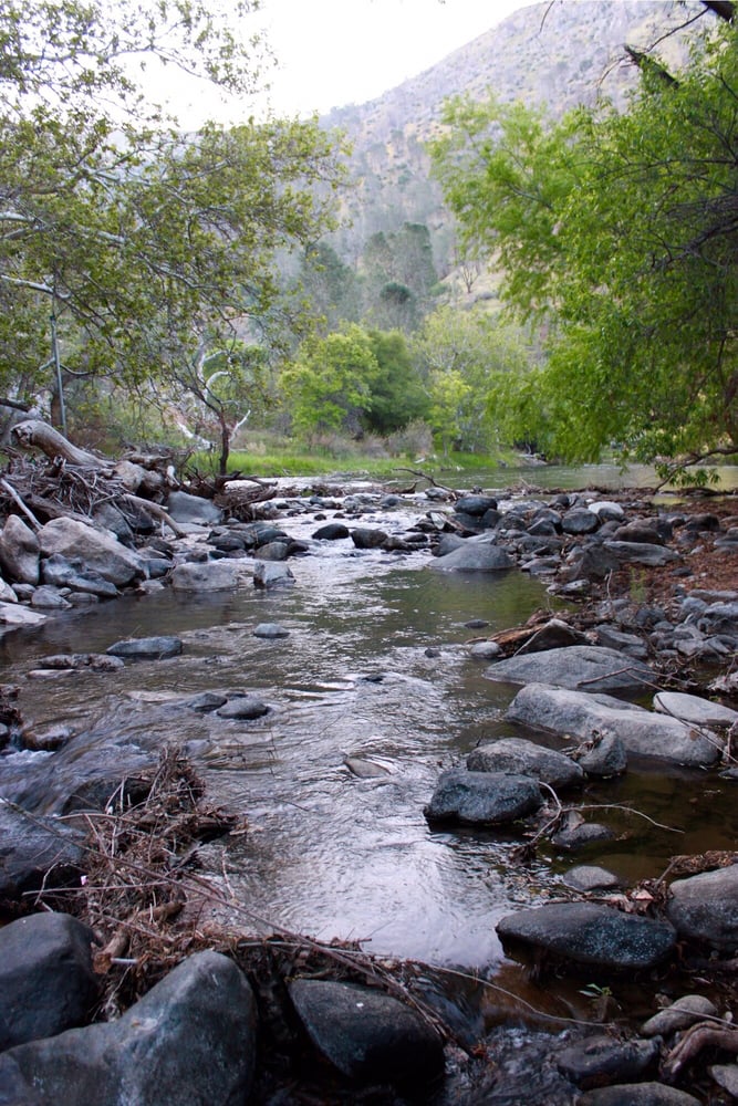 Sandy Flat Campground 19 Photos & 12 Reviews Campgrounds Old