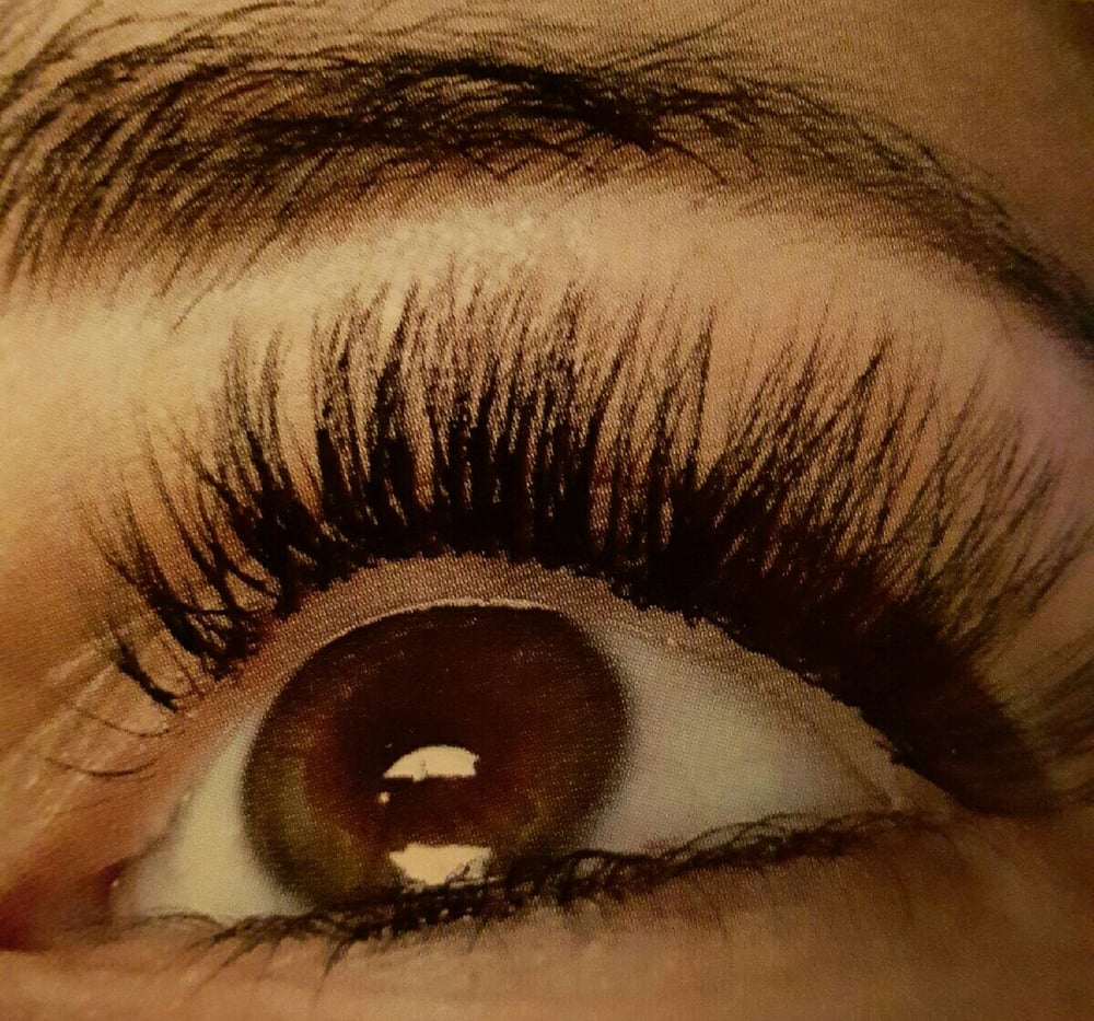 The House Of Lashes Kitchener On The House Of Lashes Kitchener On