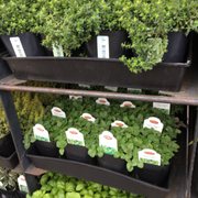 Blue Hills Nursery Gift 191 Photos 48 Reviews Nurseries Photo Of Blue Hills Nursery Gift Whittier Ca United States