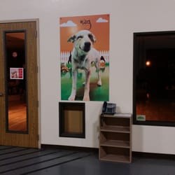 Wag Hotels 107 Photos 205 Reviews Pet Groomers 1759 Photo Of Wag Hotels West Sacramento Ca United States Check In Phone