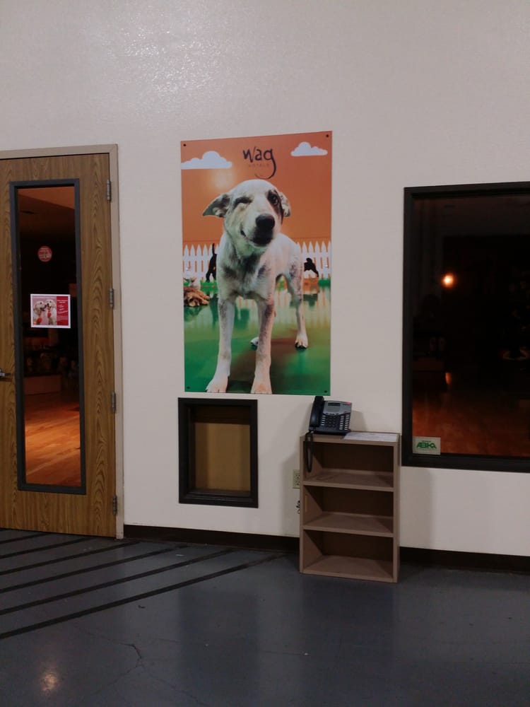 Wag Hotels 74 Photos & 163 Reviews Pet Groomers 1759 Enterprise