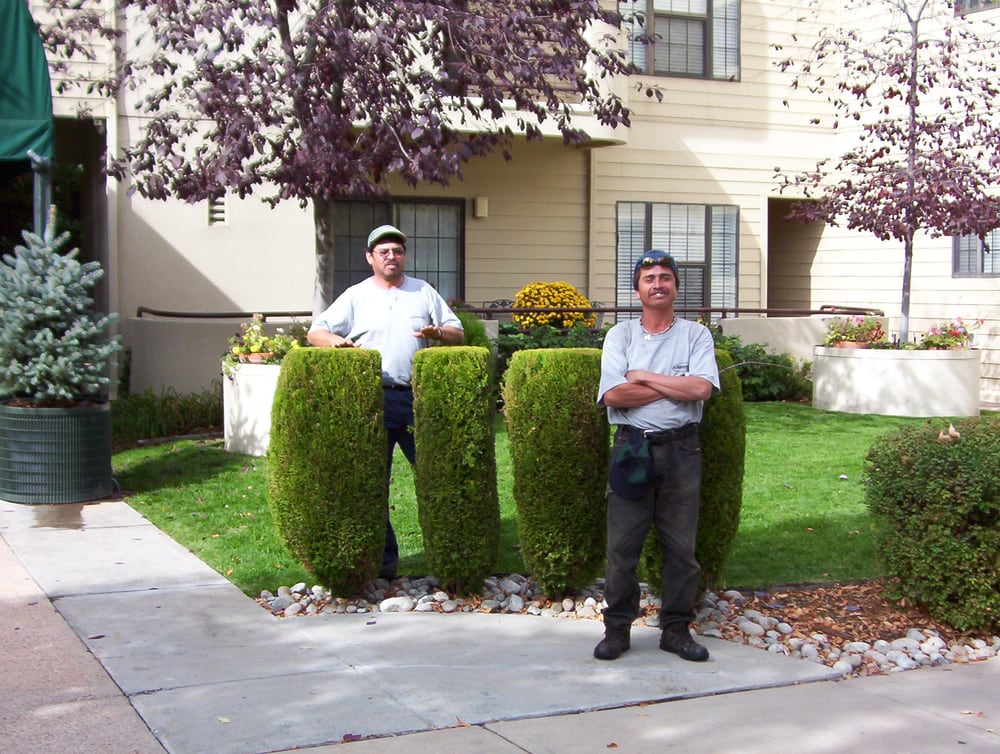 Lawntech Enterprises Landscaping 5253 E 38th Ave Park Hill Lawntech