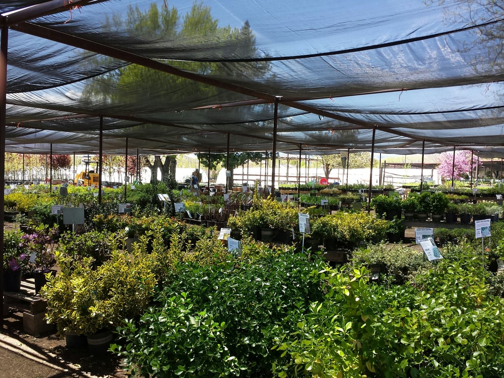 Bookcliff Gardens 19 Photos & 12 Reviews Nurseries & Gardening