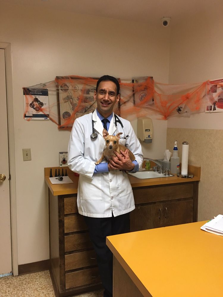Del Paso Veterinary Clinic 24 Photos & 85 Reviews Veterinarians