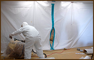 image of business A Mold Man