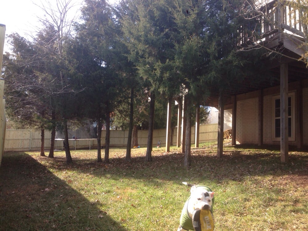 Builders Fence Company