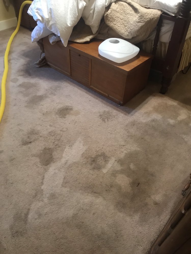 Clean Sofas