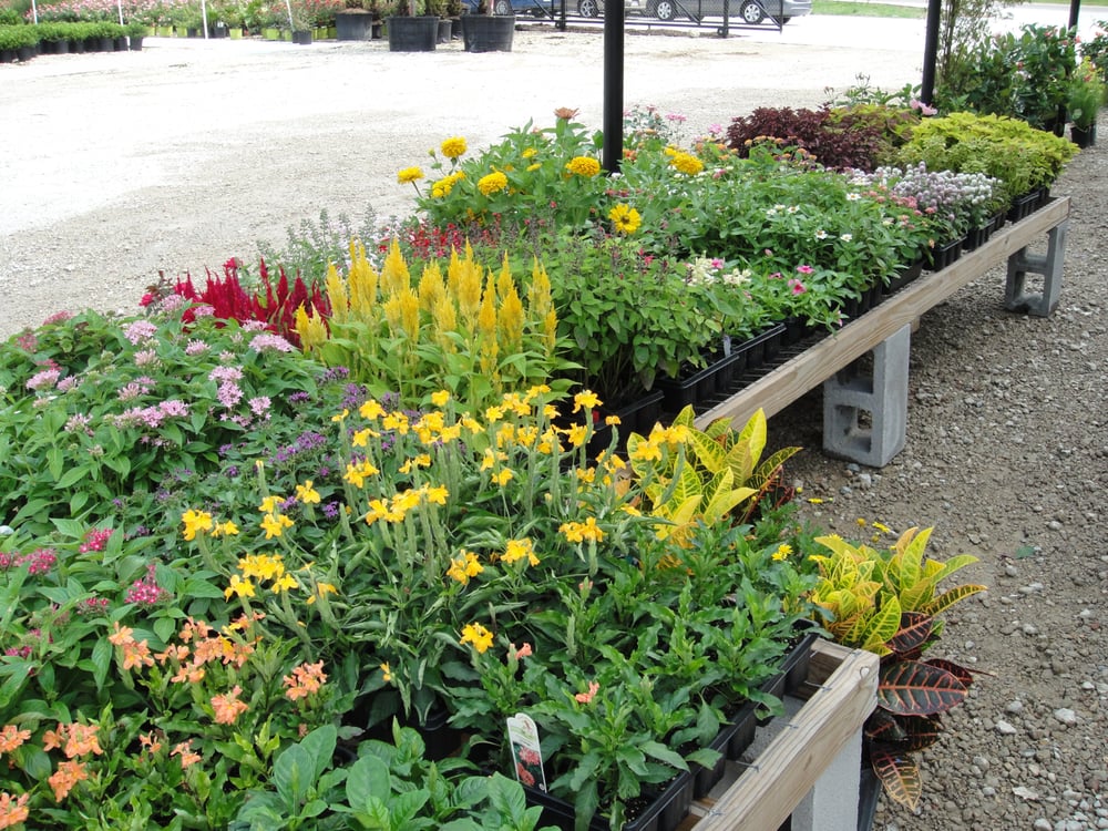 Plant Tech Nurseries &amp; Gardening 15323 Jefferson Hwy
