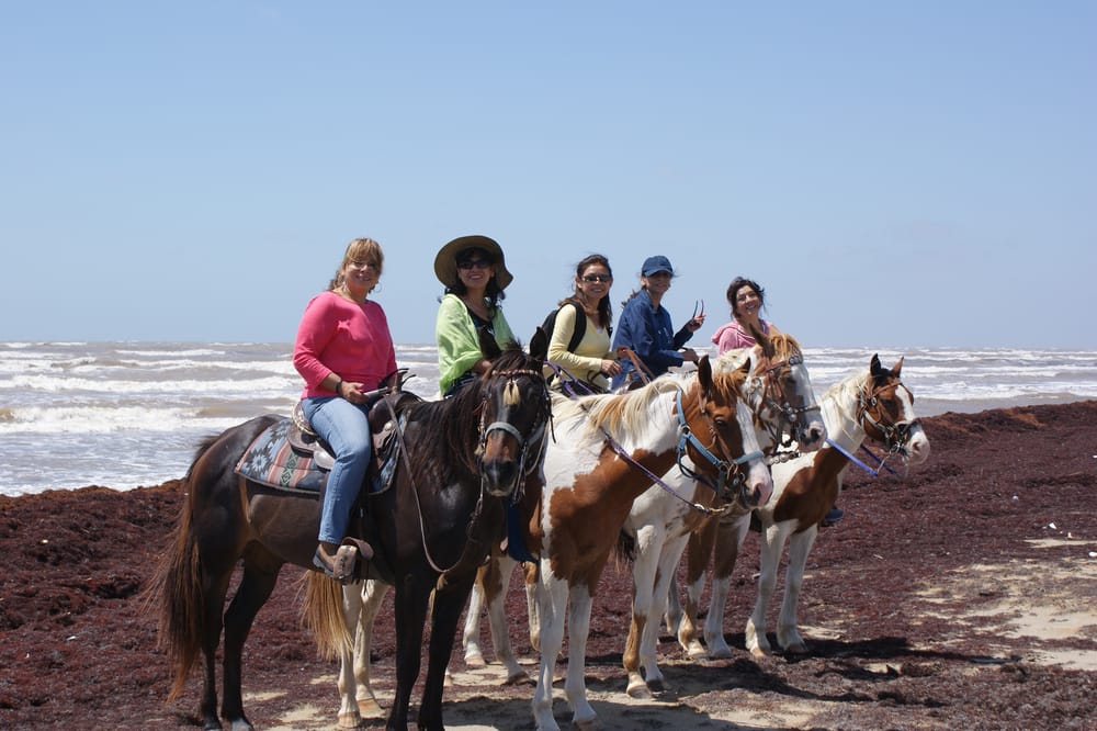 SnG Horseback Riding CLOSED 22 Photos & 19 Reviews Horseback