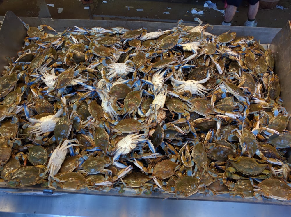Captain White’s Seafood 1053 Photos & 724 Reviews Seafood Markets