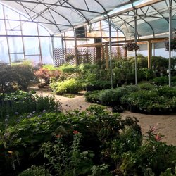 Twin Pines Nursery Nurseries Gardening 8200 S 700th E Sandy Photo Of Twin Pines Nursery Sandy Ut United States Greenhouse Interior