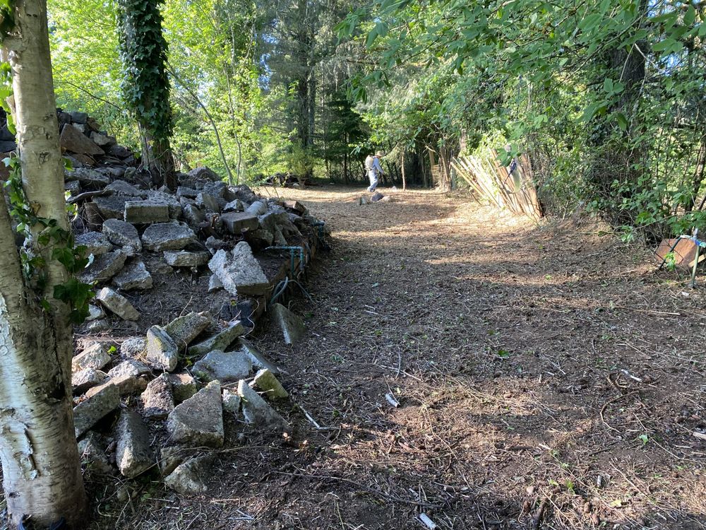 JA Bravo Landscape Maintenance