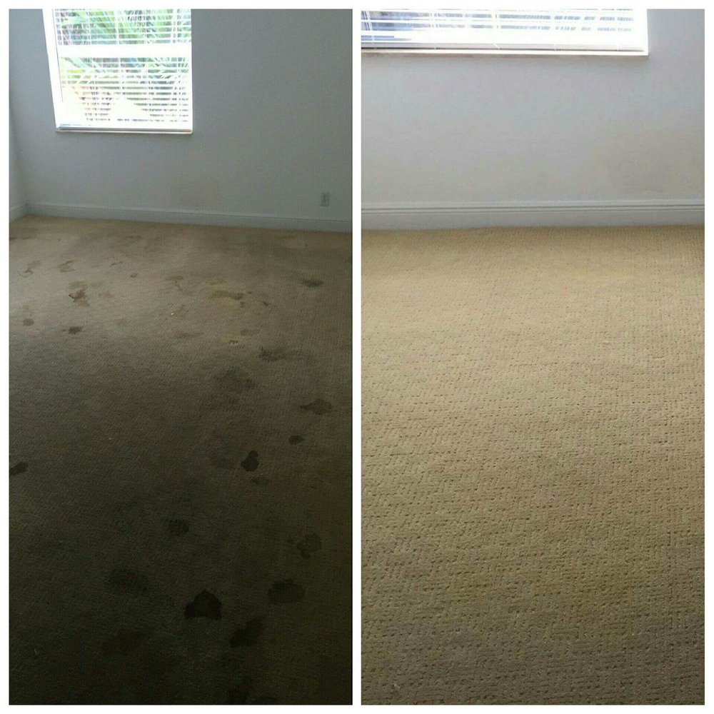 Premier Chem Dry Pompano Beach Premier Chem Dry Pompano Beach