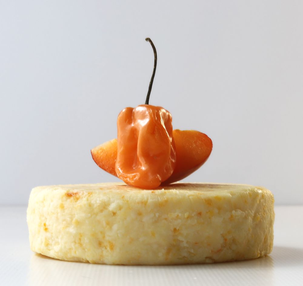 The Mozzarella Company