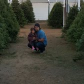 Pinery Christmas Trees 25 Photos 26 Reviews Photo Of Pinery Christmas Trees Bonita Ca United States Eing Checking Out