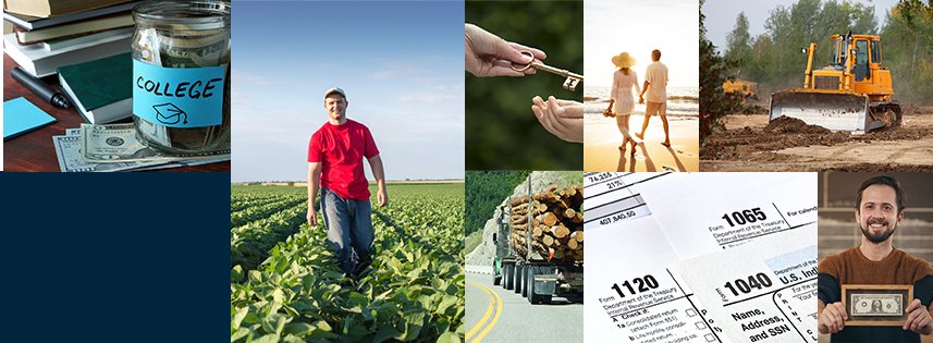 Seiler, Singleton & Associates, P.A.