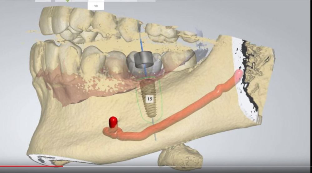 image of business 101 Dental