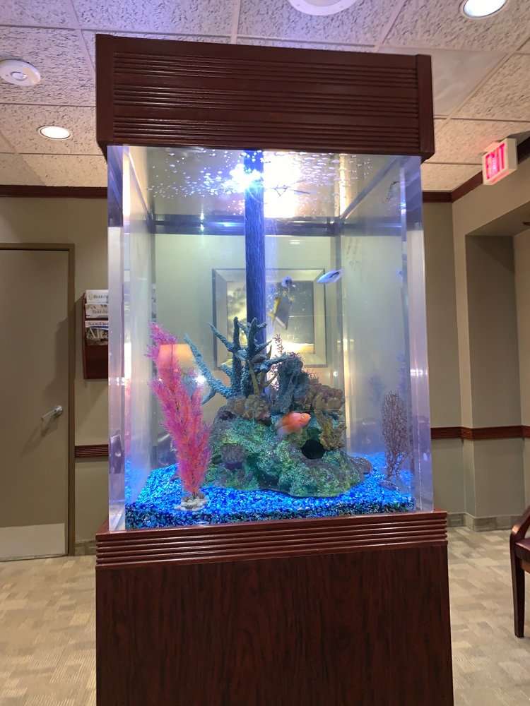 Joel Berger, DDS MD