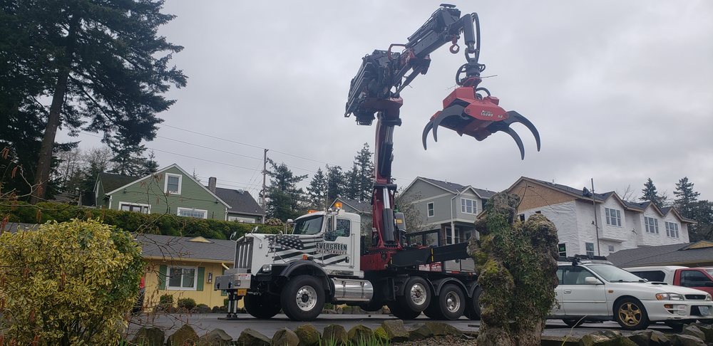 Evergreen Tree Services