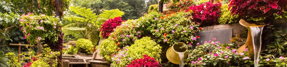 Island Spa & Garden Service