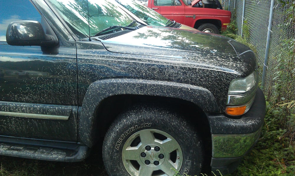 George's Towing and Recovery