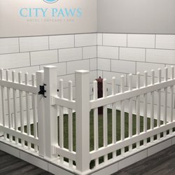 city paws pet club