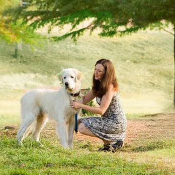 sedating a dog with valium Learn about tranquived injectable (dogs and cats) for animal usage including: its sedative and analgesic activity is related to central nervous system depression. sedating a dog with valium Learn about tranquived injectable (dogs and cats) for animal usage including: its sedative and analgesic activity is related to central nervous system depression.