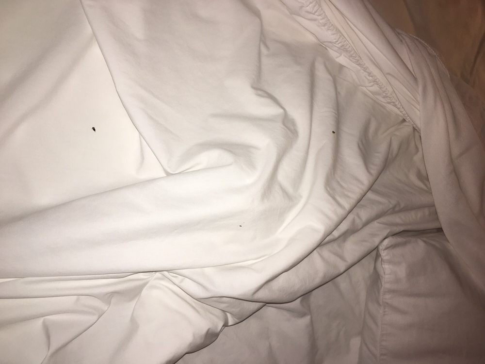 Red Roof Inn Lumberton