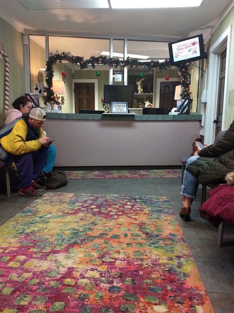 image of business Bay City Dental