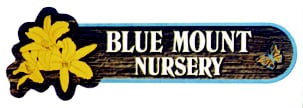 Blue Mount Nursery