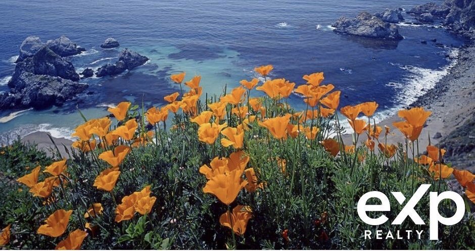 Raina Tachmuradova - eXp Realty Of California