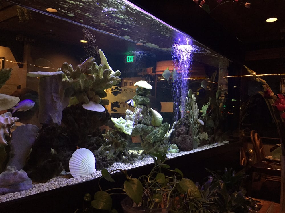 Thai Thani Restaurant Redondo Beach Ca Thai Thani Restaurant Redondo Beach Ca