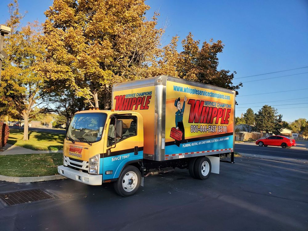 image of business Whipple Service Champions