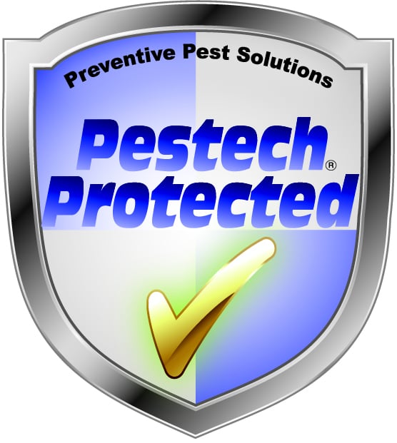 Pestech Pest Solutions