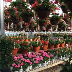 Village Green Nursery Nurseries Gardening 6101 E Riverside Photo Of Village Green Nursery Rockford Il United States
