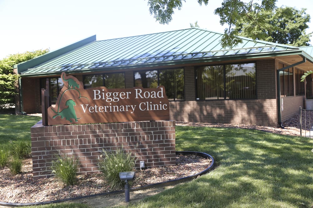 Bigger Road Veterinary Clinic 22 Reviews Veterinarians 5655