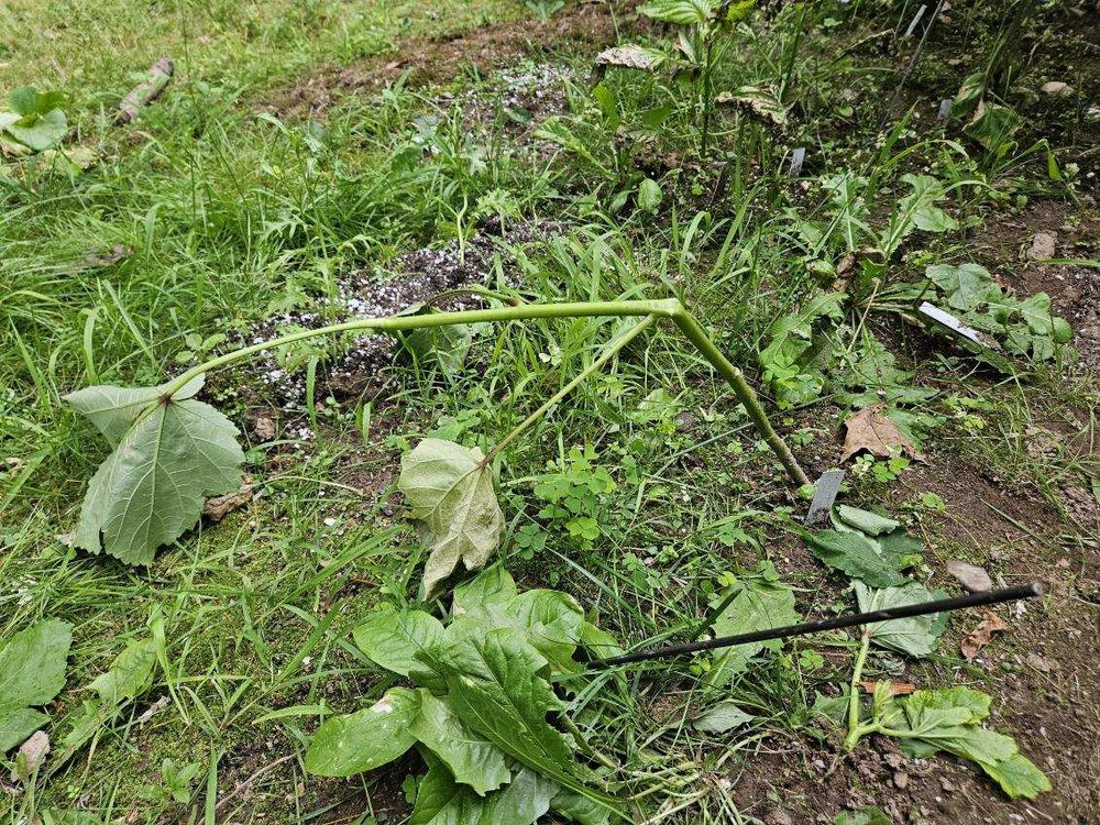 image of business Sutherland Painting and Construction