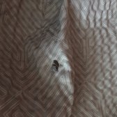 Motel 6 50 Photos 17 Reviews Hotels 5179 Raynor Ave Photo Of Motel 6 Linthi Heights Md United States Cigarette Burns In