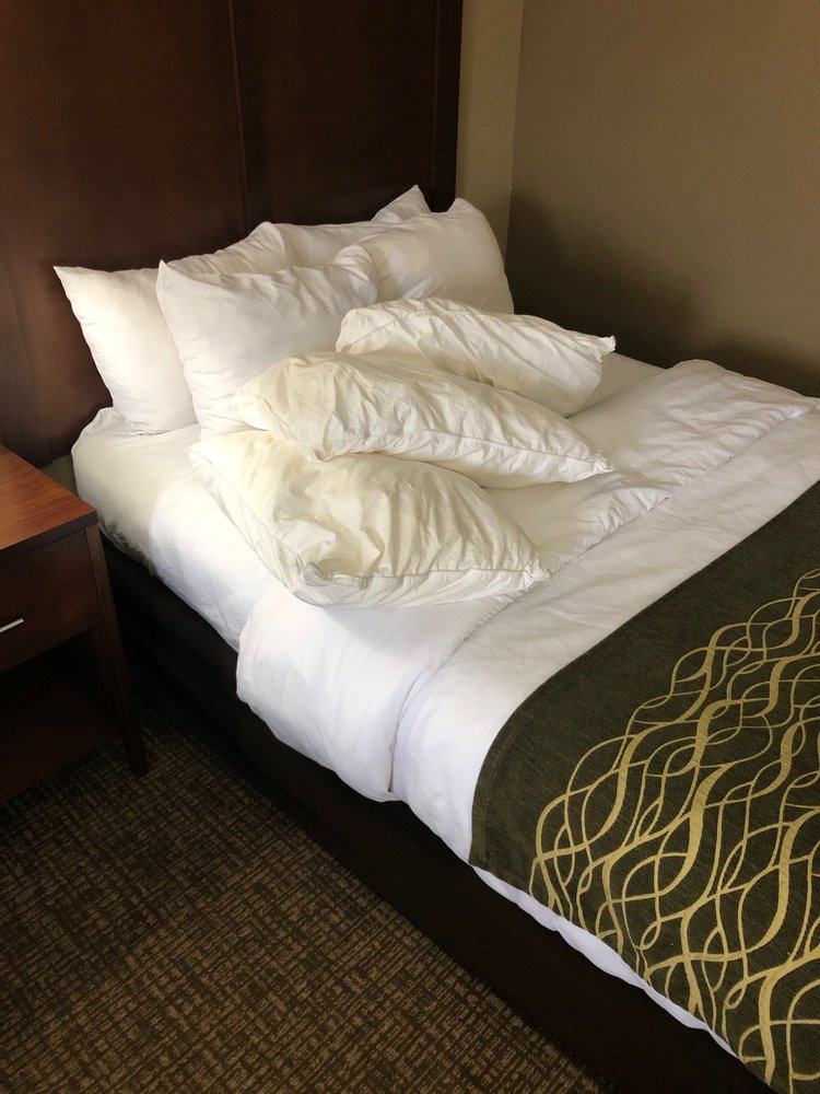 Comfort Inn South