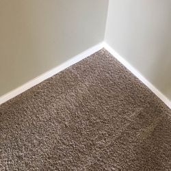 Healthy Carpets 11 Photos 10 Reviews Carpet Cleaning 1678 E Photo Of Healthy Carpets Ann Arbor Mi United States