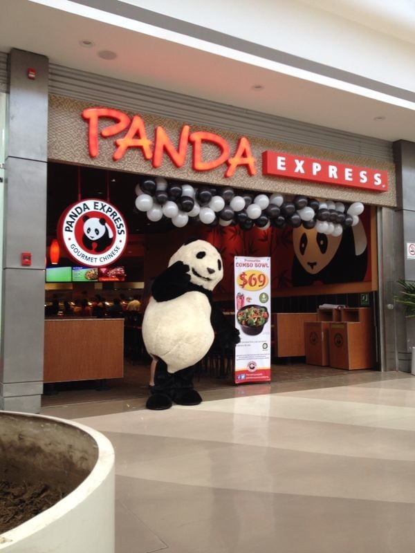 Chubby panda chinese restaurant