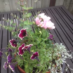 Christy Webber Farm & Garden Center - 37 Photos & 55 Reviews