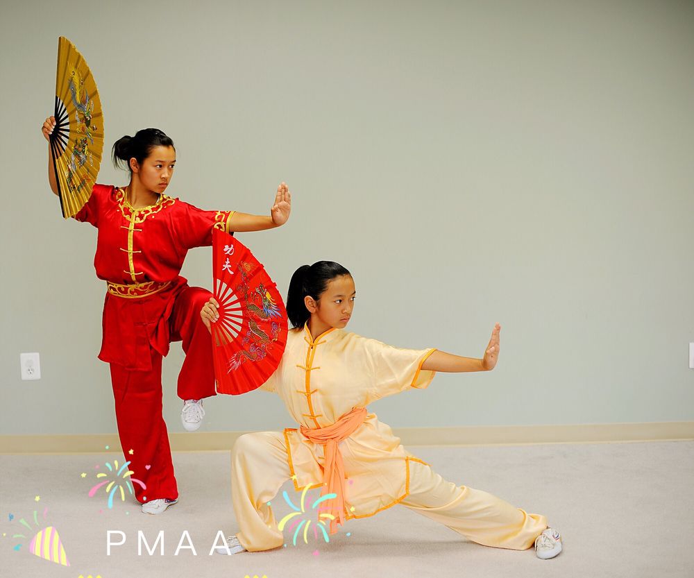 Professional Martial Arts Academy