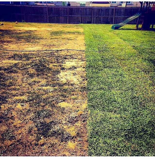 Southwest Landscaping