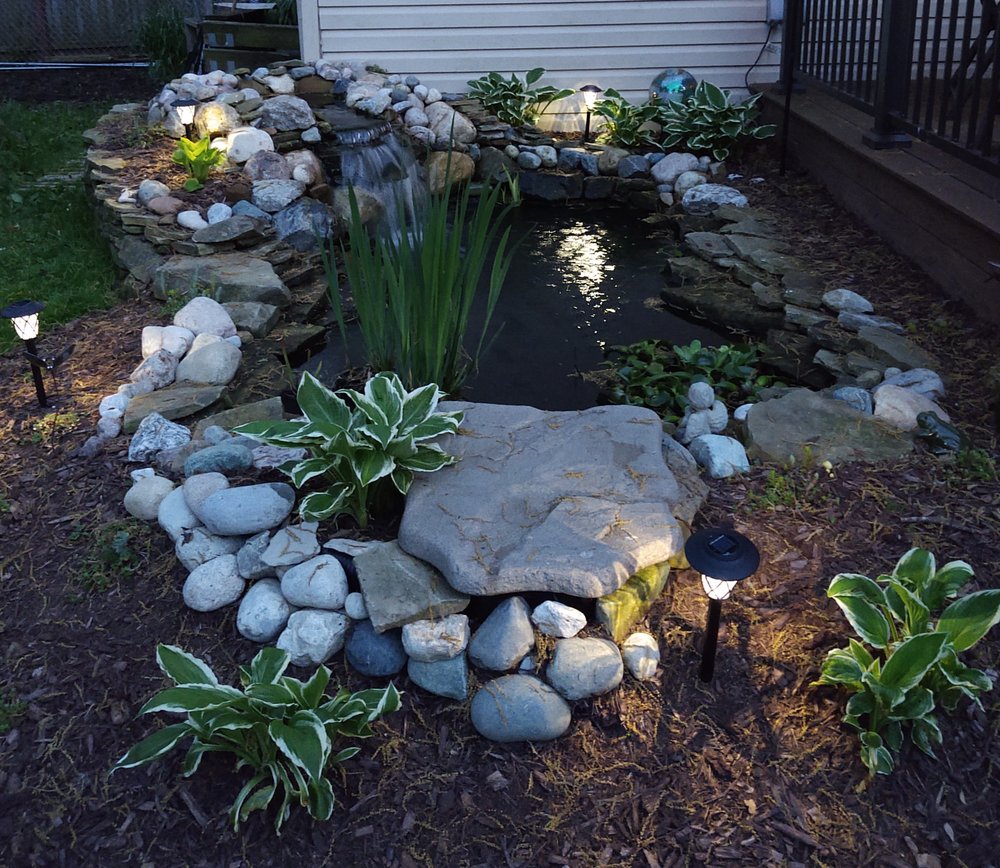 image of business Freshwater Aquatics Inc