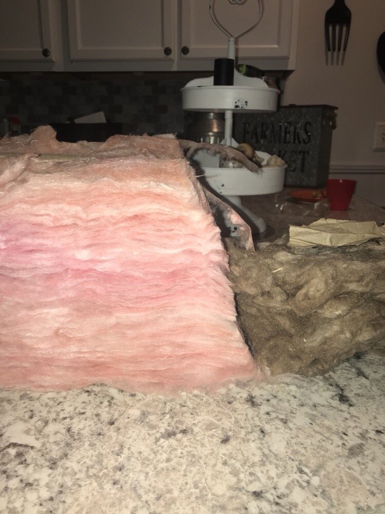 Back to Normal Restoration Services