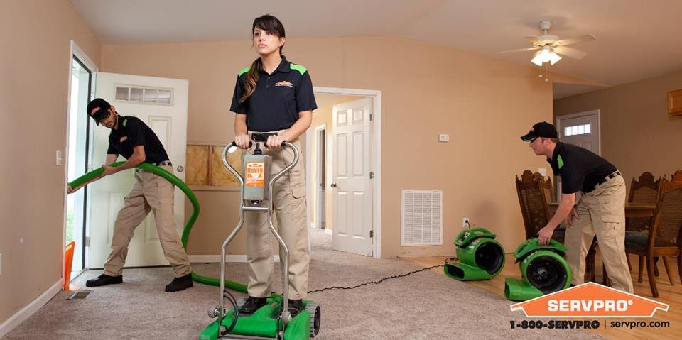 image of business SERVPRO of Manistee Ludington And Cadillac